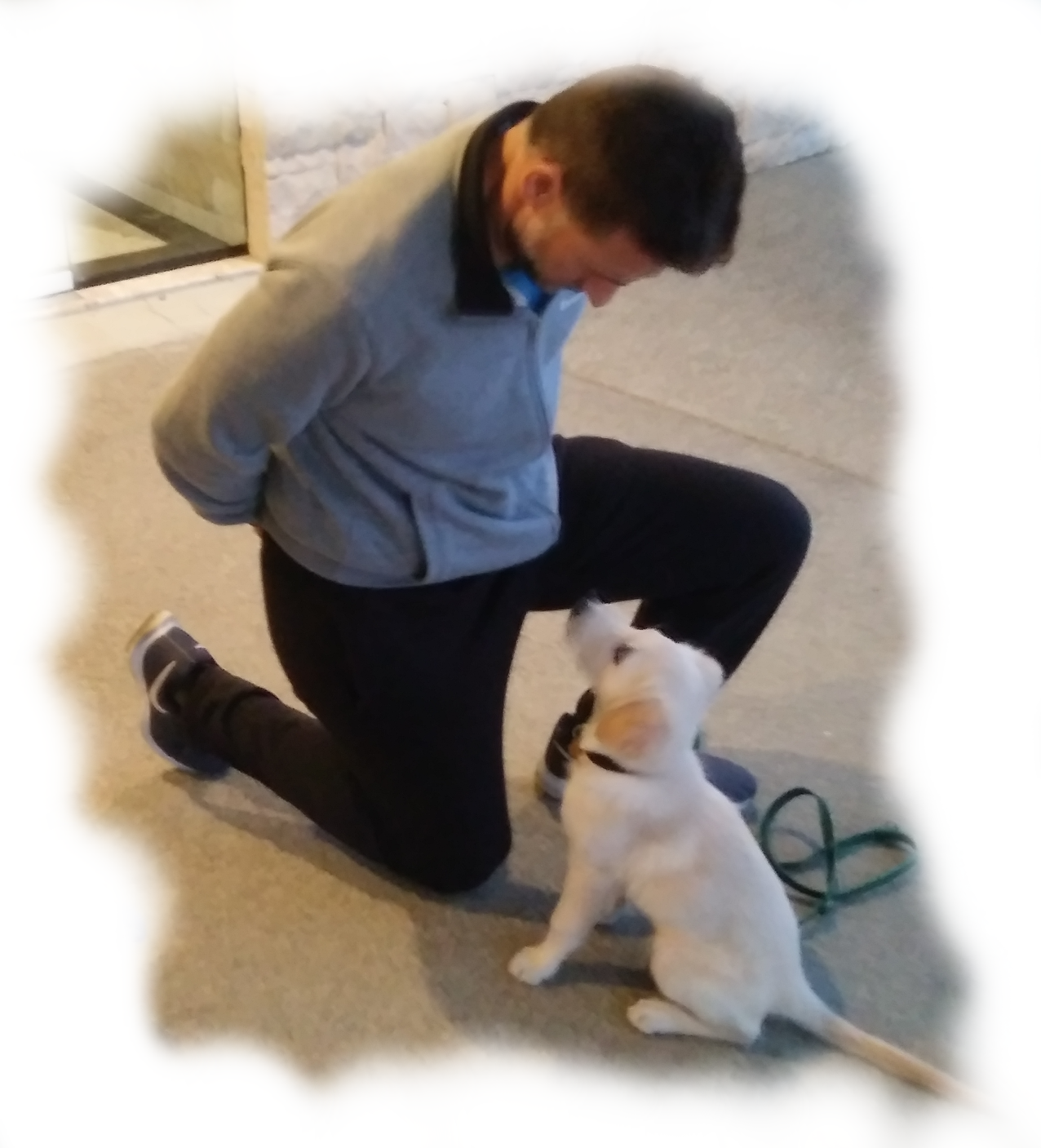 Puppy training Cyprus